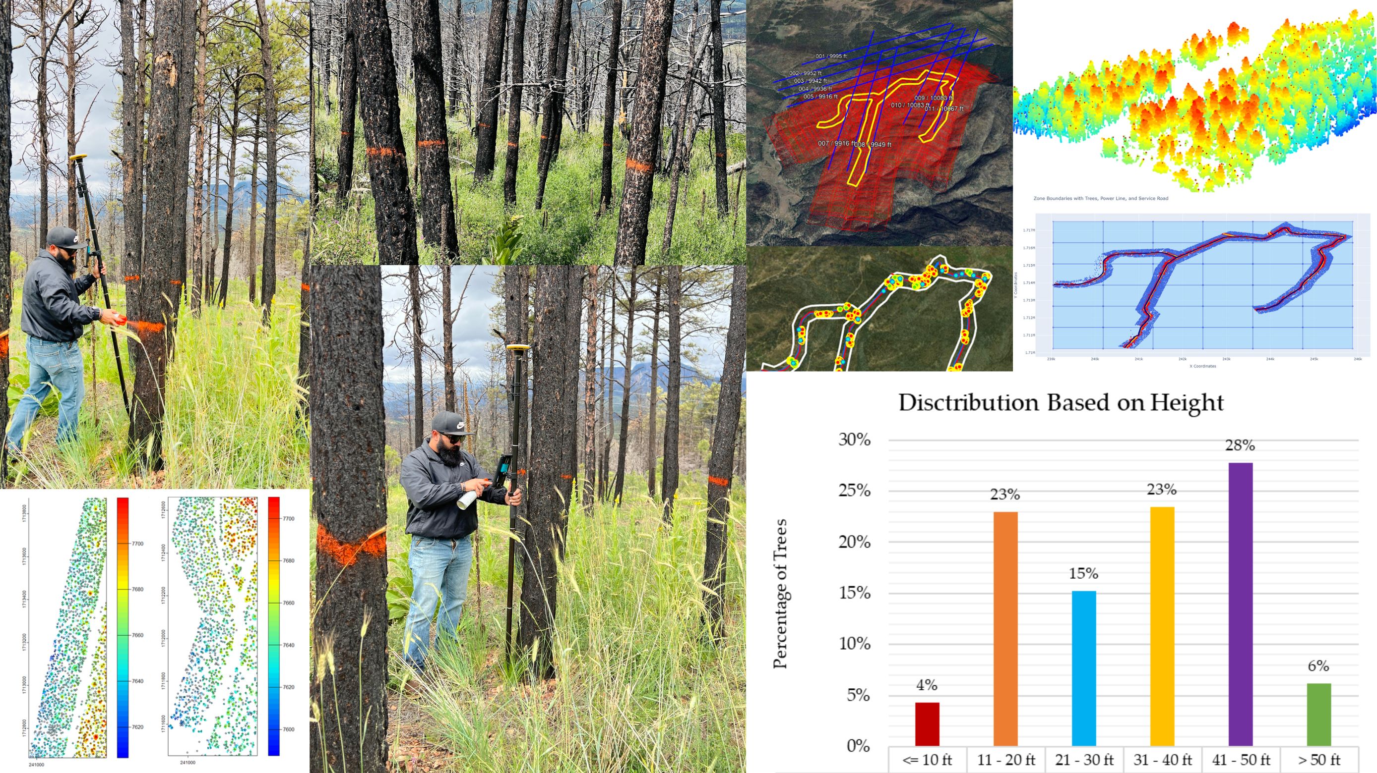 New Mexico Burn Scar - Hazard Tree Identification